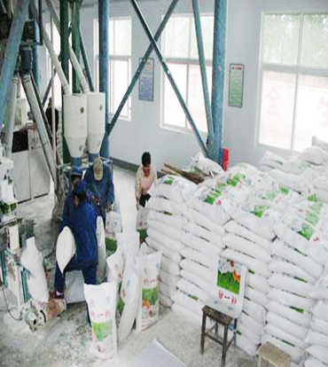 面粉廠除塵方案 面粉廠除塵方案