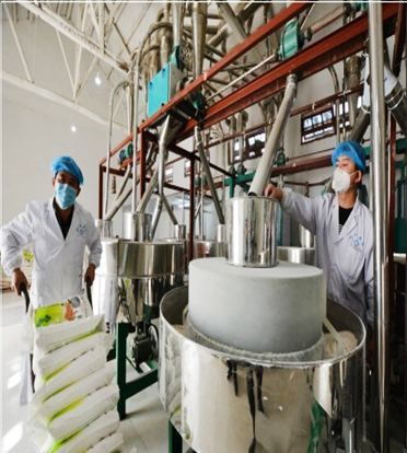 面粉廠除塵設備 面粉廠除塵設備